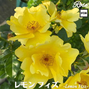 k\񏤕il_XIWi8dl^ oc tBY 2Nc ږؕc FL to_ o c c KN ΂ lG炫 