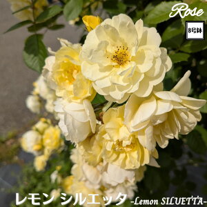 k\񏤕il_XIWi8dl^ oc VGb^ 2Nc ږؕc CL NC~O[Y o o c c KN ΂ Ԃ炫 