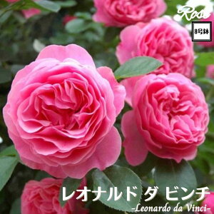 k\񏤕il_XIWi8dl^ oc Iih_r` 8 2Nc ږؕcCL oo c c KN NC~O lG炫 