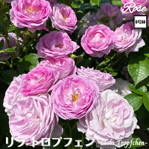 k\񏤕il_XIWi8dl^ oc gvtF 8 Nc ږؕcFL to_o c c KN lG炫 