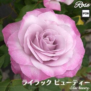 k\񏤕il_XIWi8dl^ oc CbNr[eB[ 8 2Nc ږؕcHT nCubheBo c c KN lG炫 