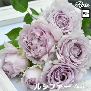 k\񏤕il_XIWi8dl^ oc Vt@[ 2Nc ږؕc HT nCubgeBwuV[Y o c c KN ΂ lG炫 