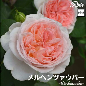 k\񏤕il_XIWi8dl^ oc wc@Eo[ 2Nc ږؕc FL to_ o c c KN ΂ lG炫 