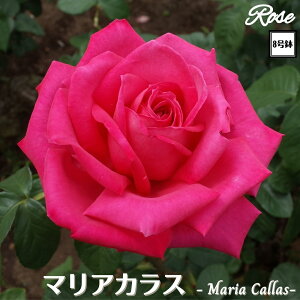 k\񏤕il_XIWi8dl^ oc }AJX 2Nc ږؕc HT nCubheB o c c KN ΂ lG炫 