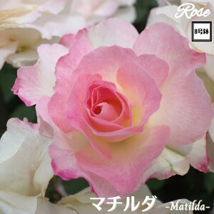 k\񏤕il_XIWi8dl^ oc }`_ 2Nc ږؕc FL to_ o c c KN ΂ lG炫 