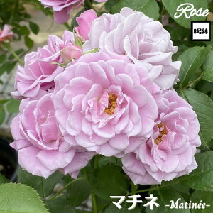 k\񏤕il_XIWi8dl^ oc }`l 8 Nc ږؕcFL to_o c c KN lG炫 