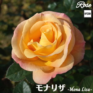 k\񏤕il_XIWi8dl^ oc iU 8 Nc ږؕcFL to_o c c KN lG炫 