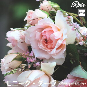 k\񏤕il_XIWi8dl^ oc j[N_[ 2Nc ږؕc S VuGUILLOT M[ o c c KN ΂ lG炫 