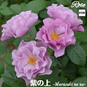 k\񏤕il_XIWi8dl^ oc ̏ 2Nc ږؕc S VuTIGeBX o c c KN ΂ lG炫 