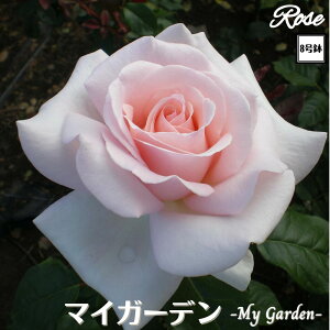 k\񏤕il_XIWi8dl^ oc }CK[f 2Nc ږؕc HT nCubheB o c c KN ΂ lG炫 