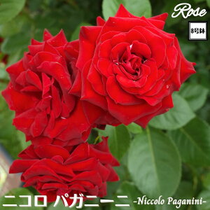 k\񏤕il_XIWi8dl^ oc jRpKj[j 2Nc ږؕc FL to_ o c c KN ΂ lG炫 