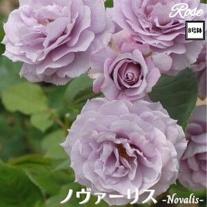 k\񏤕il_XIWi8dl^ oc m@[X 2Nc ږؕc HT nCubheB o c c KN ΂ lG炫 