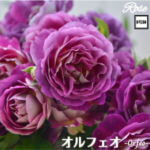 k\񏤕il_XIWi8dl^ oc ItFI 2Nc ږؕc S VuTIGeBX o c c KN ΂ lG炫 