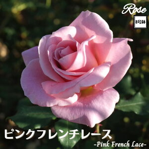 k\񏤕il_XIWi8dl^ oc sNt`[X 8 2Nc ږؕcFL to_o c c KN lG炫 