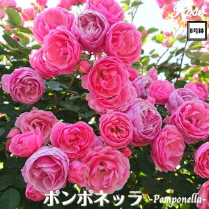 k\񏤕il_XIWi8dl^ oc ||lb 2Nc ږؕc CL NC~O[Y o o c c KN ΂ lG炫 