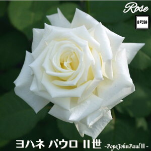 k\񏤕il_XIWi8dl^ oc nlpE2 2Nc ږؕc HT nCubheB o c c KN ΂ lG炫 