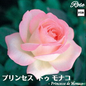 k\񏤕il_XIWi8dl^ oc vZXhDiR 2Nc ږؕc HT nCubheB o c c KN ΂ lG炫 