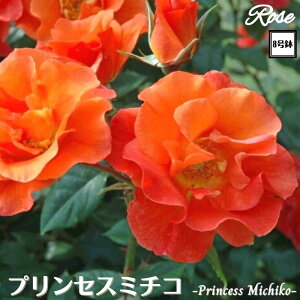 k\񏤕il_XIWi8dl^ oc vZX~`R 8 2Nc ږؕcFL to_o c c KN lG炫 