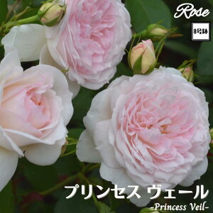 k\񏤕il_XIWi8dl^ oc vZXF[ 2Nc ږؕc FL to_ o c c KN ΂ lG炫 