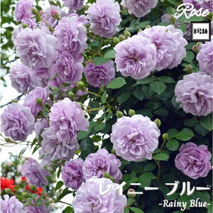 k\񏤕il_XIWi8dl^ oc Cj[u[ 2Nc ږؕc CL NC~O[Y o o c c KN ΂ lG炫 