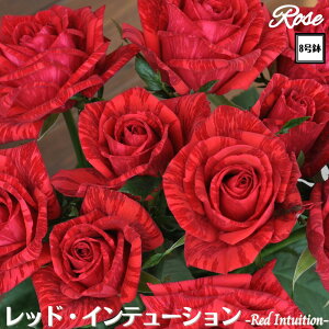 k\񏤕il_XIWi8dl^ oc bhCe[V 8 2Nc ږؕcHT nCubheB[Delbard fo[ o c c KN lG炫 