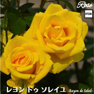 k\񏤕il_XIWi8dl^ oc h\C 2Nc ږؕc FL to_ o c c KN ΂ lG炫 