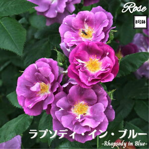 k\񏤕il_XIWi8dl^ oc v\fB[Cu[ 8 2Nc ږؕcS Vu[i[ o c c KN lG炫 