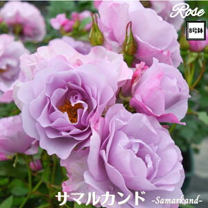 k\񏤕il_XIWi8dl^ oc T}Jh 8 2Nc ږؕcFL to_TIGeBX o c c KN lG炫 