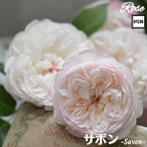 k\񏤕il_XIWi8dl^ oc T{ 8 2Nc ږؕcS Vu[YhDX[ ͖{o o c c KN lG炫 