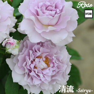 k\񏤕il_XIWi8dl^ oc  2Nc ږؕc FL to_ o c c KN ΂ lG炫 