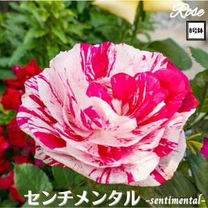 k\񏤕il_XIWi8dl^ oc Z`^ 2Nc ږؕc HT nCubgeB o c c KN ΂ lG炫 