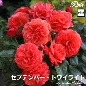 k\񏤕il_XIWi8dl^ oc Zveo[gCCg 2Nc ږؕc FL to_[i[ o c c KN ΂ lG炫 