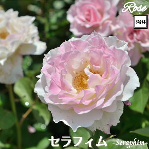 k\񏤕il_XIWi8dl^ oc ZtB 2Nc ږؕc HT nCubgeB o c c KN ΂ lG炫 