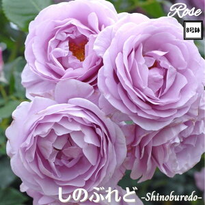 k\񏤕il_XIWi8dl^ oc ̂Ԃ 2Nc ږؕc FL to_ o c c KN ΂ lG炫 