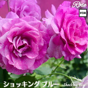 k\񏤕il_XIWi8dl^ oc VbLOu[ 2Nc ږؕc FL to_ o c c KN ΂ lG炫 