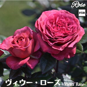 k\񏤕il_XIWi8dl^ oc BE[[Y 2Nc ږؕc HT nCubgeBDelbard fo[ o c c KN ΂ lG炫 