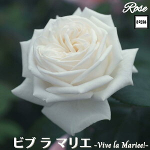 k\񏤕il_XIWi8dl^ oc ru}GI 2Nc ږؕc HT nCubheB o c c KN ΂ lG炫 