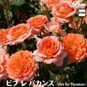 k\񏤕il_XIWi8dl^ oc ruoJXI 8 2Nc ږؕcFL to_o c c KN lG炫 