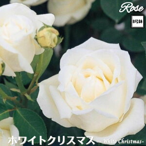 k\񏤕il_XIWi8dl^ oc zCgNX}X 2Nc ږؕc HT nCubheB o c c KN ΂ lG炫 