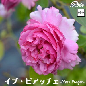 k\񏤕il_XIWi8dl^ oc CusAb`F 8 2Nc ږؕcHT nCubheBo c c KN lG炫 