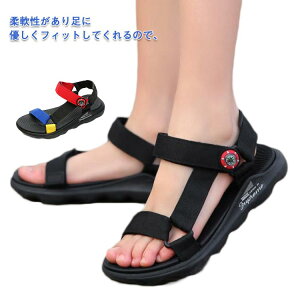 X|[cT_ LbY T_ xNT_ ̎q j̎q qǂ C qT_ y X|T r[`T_ p ؂ WjA XgbvT_ ₷ 