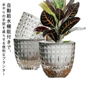 プランター 鉢 自動給水 11cm ハイドロカルチャー 通気孔 鉢カバー 透明 16cm 観葉植物 花鉢 ミニ観葉 プレゼント シンプル インテリア 室内 室外 植木鉢 根腐れ防止 便利 おしゃれ プランター