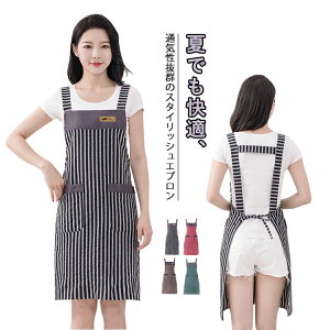 ėp fB[X Y  Gv h Lb`Gv ʋC JtFGv ƒp h Ɨp Gv jp XgCvGv K p n |Pbg [ 