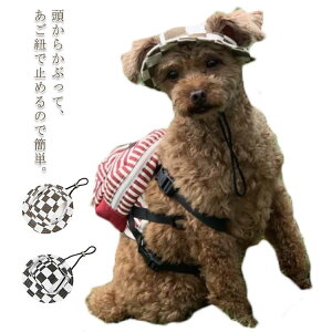 p Xq 蕨  L nbg Ԃ `FbN Xq ^ ^ ^  AEghA ` v[h Lbv U o 悯 v[g 킢 
