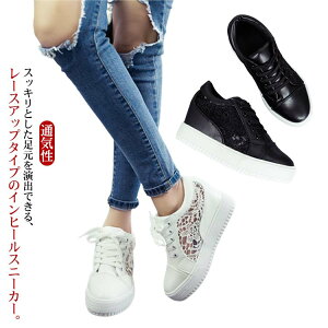  fB[X ʋC [X ّf C V[Y 4cmq[ [XV[X[؂ւ JWA ꂢ  t Cq[Xj[J[