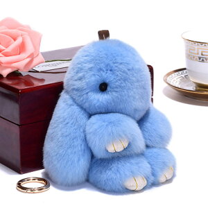 ETM obO`[ L[z_[  20F obO`[ t@[`[ t@[`[  obO`[ t@[ ʂ e rbg L[`F[   