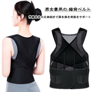 pT|[g xg pxg t lp pP w fB[X ~ H jp Y Lw p jp qp  p Lw LwT|[^[ pxg w؋ Lw