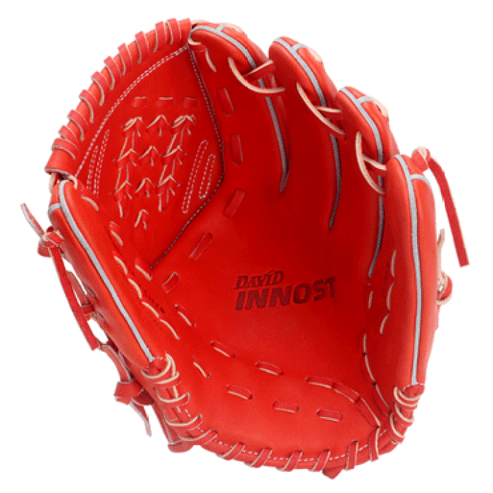 ダビドスポーツ 硬式用グローブ DAVID INNOST 投手用 ina55