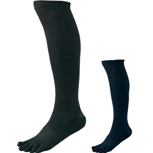 [bg EFA 싅 \bNX bk035cl