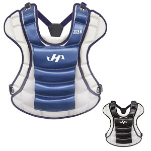 n^P} NpveN^[ BiBsorBru\[u cgnjps